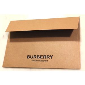 Two Burberry Envelop (one big one small)